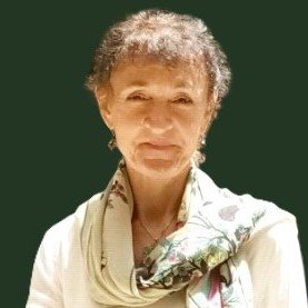 Picture of Prof. Lesley Junlakan